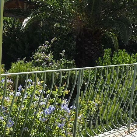 Santa Maria Cap Corse * מאסינאג'יו